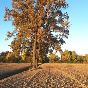 La Delle Rose Séjour à la campagne Carpi